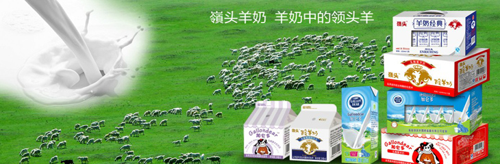 嶺頭羊奶招商