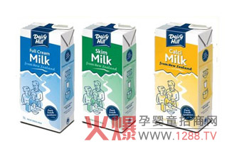 乳山牌UHT牛奶 天賜純凈好奶
