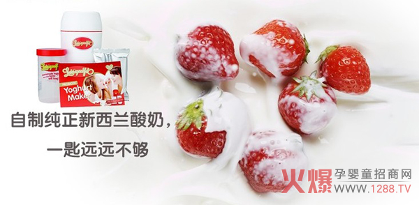 萊維斯普自制純正酸奶 一匙遠(yuǎn)遠(yuǎn)不夠