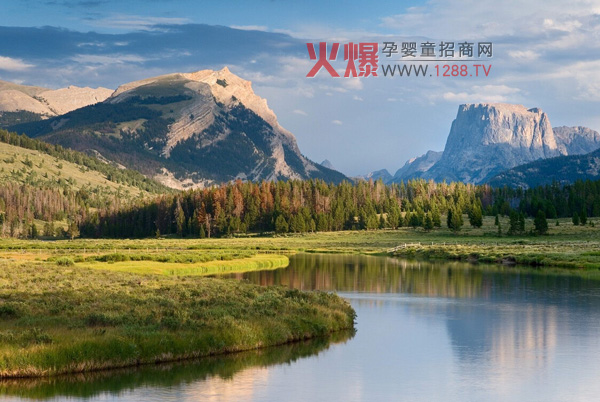 查理洗滌劑的優(yōu)秀性