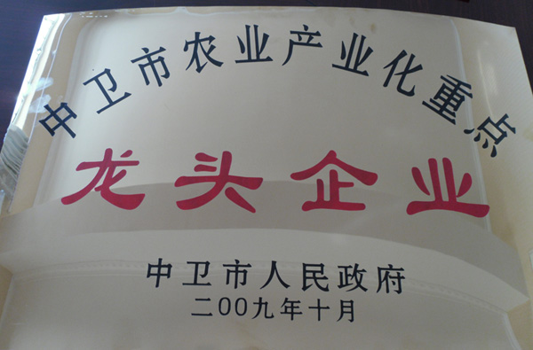 龍頭企業(yè)