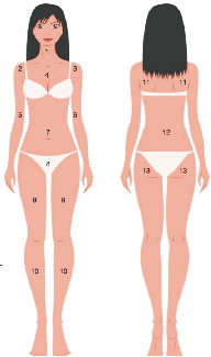 經(jīng)筋纖體療法.jpg
