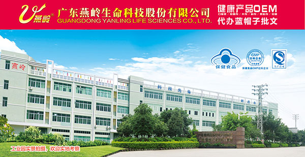 廣東燕嶺.jpg