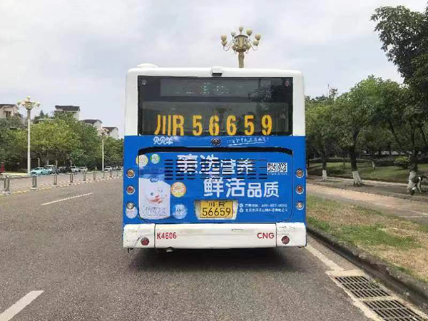 貝貝羊5.jpg