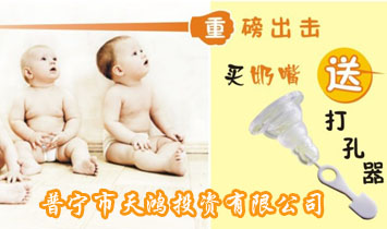 普寧市天鴻投資有限公司