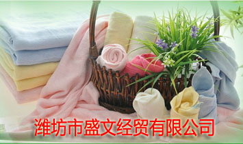 濰坊市盛文經(jīng)貿有限公司