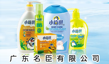 廣東名臣有限公司