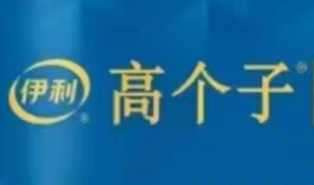 伊利高個(gè)子