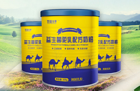 西疆諾康益生菌駝乳配方奶粉