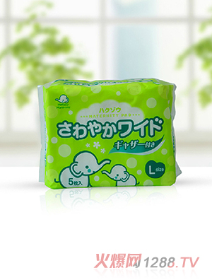 白象清爽立體衛(wèi)生巾L5枚