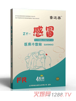 魯達(dá)美醫(yī)用冷敷貼-風(fēng)熱感冒